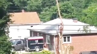 Neighbor Records Man trying to Cut Down Tree...The Tree Wins. Survive?