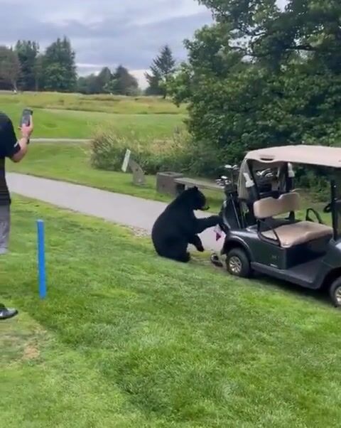 Slow play enforcer!