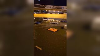 Fish Swimming in the Streets of Dubai after Flooding from Torrential Rain