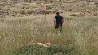 Palestinian Trap....Man Kicks down Palestinian Flag and Finds Out (Posted Yesterday)