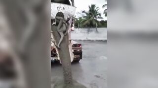 Speaking of Cement..Look what Came out of this Cement Mixer in Dominican Republic (See Info)