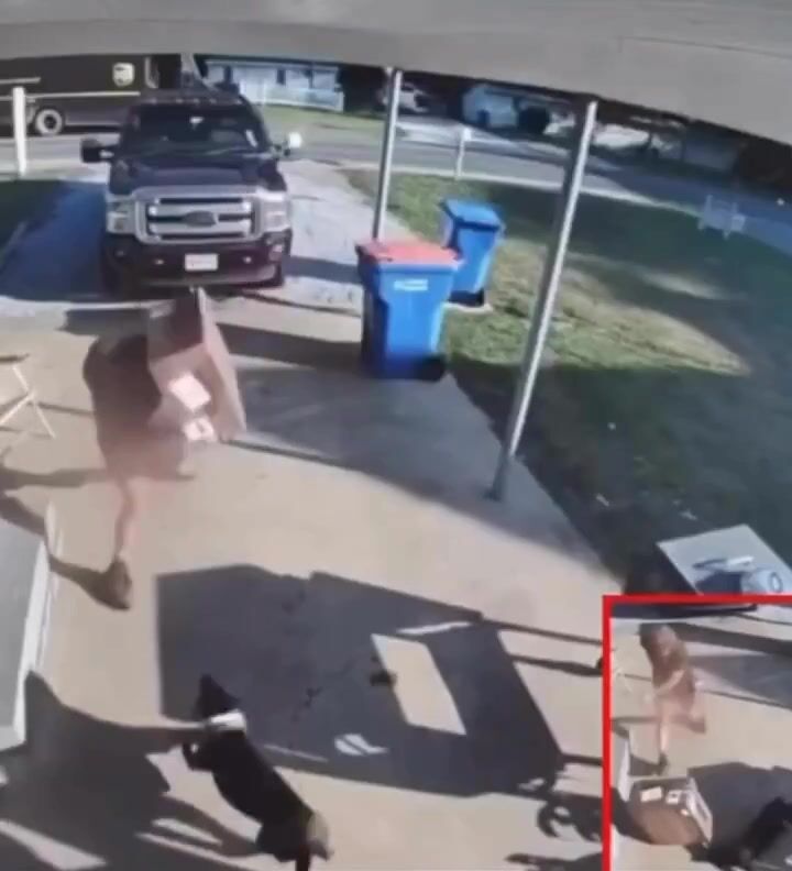 SHOCK: UPS driver throws heavy box at dog then tries to fight owner
