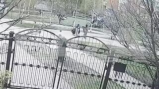 Hit and Run: Little Boy on Skateboard is Crushed by 2 Bigger Kids on a Scooter