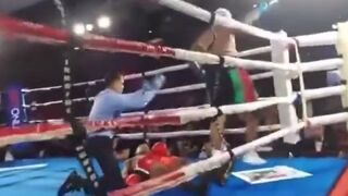 Shock Video Shows Boxer Killed From Brutal Knockout Punch in Miami