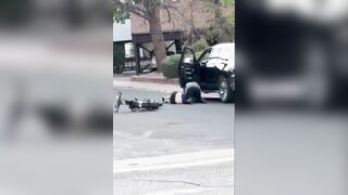 Violent Road Rage Assault in Aurora