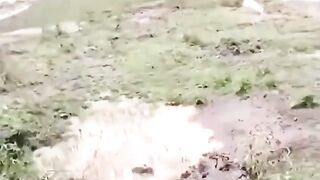 We Know this is NOT a Good Idea, but they Do Not.