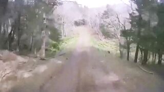 A Territorial Grizzly Bear in Japan has No Fear as he Charges a Jeep