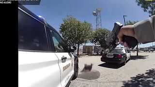 An armed suspect was fatally shot after he stabbed an LASD deputy
