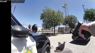 An armed suspect was fatally shot after he stabbed an LASD deputy