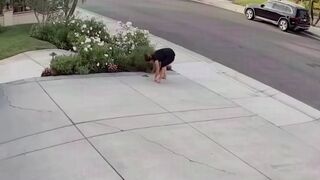 California Woman Bitten by Rattlesnake While Barefoot Gardening