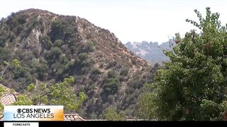 California Woman Bitten by Rattlesnake While Barefoot Gardening