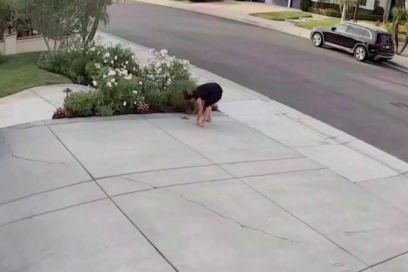 California Woman Bitten by Rattlesnake While Barefoot Gardening