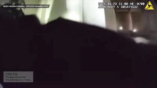 Video sheds light on deadly police shooting at downtown apartment in San Diego