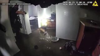 Video sheds light on deadly police shooting at downtown apartment in San Diego