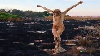 Davide Gelso Sculpture of our Lord Survives Wild Fire, Everything Else Burned.