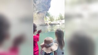 Young Grizzly Bear Eats Ducklings in Front of Horrified Children at Woodland Park Zoo in Seattle.