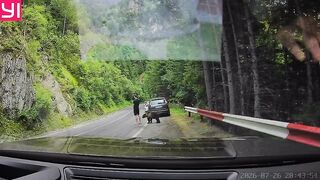 ‘Survival instinct of a potato’: Man’s bizarre bear encounter in Romania goes viral