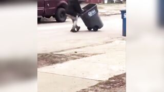 Oh hell nah…..oh no he didn’t!!! He ain’t never gonna show face ever again.