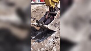 The excavator operator asked her to get away from his machine and she refused