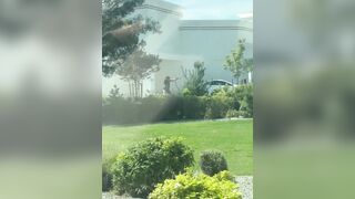 HERO in Twin Falls, Idaho got out of his vehicle and opened fire on the gunman, catching him completely off guard.