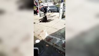 Hard to Watch: Pitbull Attacking its Owner as People use Baseball Bats still Can't Stop It