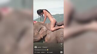 (New One) This Elephant comes Very Close to Molesting this Asian Girl...Yikes