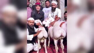 Red light district in Pakistan!