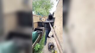 Bike thief acting tough