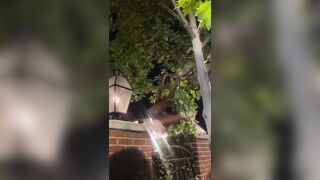 In Their Natural Habitat