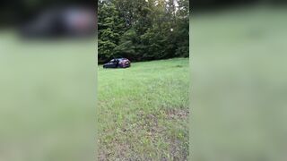 Tourist injured after getting ‘too close’ to bison in Poland’s ancient forest