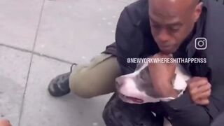 Rear naked choke saves child from killer pitbull attack