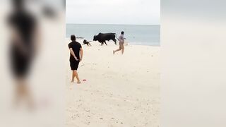 WOMAN BRUTALLY ATTACKED BY A BULL ON THE BEACH COLLECTING RECYCLABLES