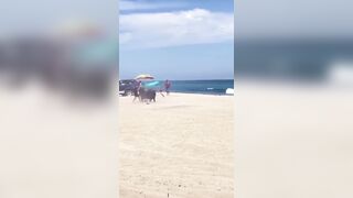 WOMAN BRUTALLY ATTACKED BY A BULL ON THE BEACH COLLECTING RECYCLABLES