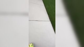 Off Duty Chicago Police Sergeant Confronts Teens Striking Girl Who Was Recording