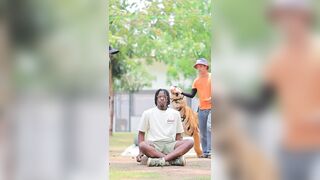 Tourist posed in Bangkok with a massive tiger.