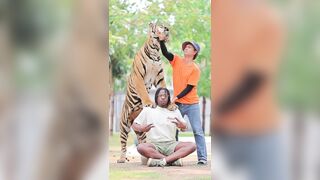 Tourist posed in Bangkok with a massive tiger.