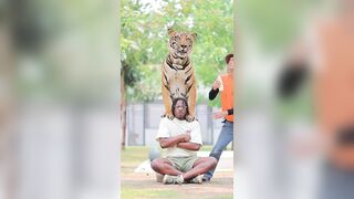 Tourist posed in Bangkok with a massive tiger.