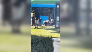 The game hungry hungry Hippos comes to mind
