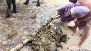 Good old fashioned Indian fun
