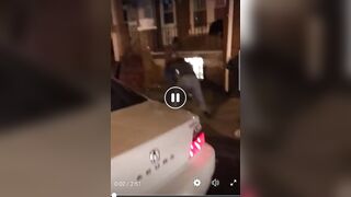 Ratchets fight in da hood...wait for it.
