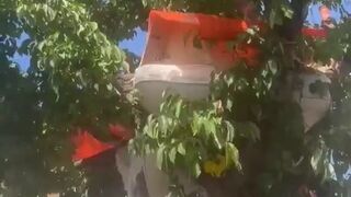 Illegal immigrants are now living in trees in the UK.