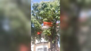 Illegal immigrants are now living in trees in the UK.
