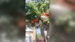 Illegal immigrants are now living in trees in the UK.