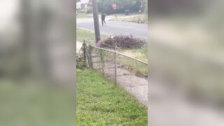Crazy Black Man Tries To Steal Patrol Car While Carrying a Baby in His Arms