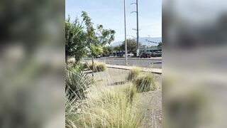 There is Always Someone Crazier Than You: Road Rage In New Mexico