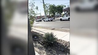 RANDOMS! (A COMPILATION)