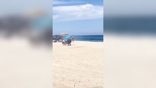 BULL ATTACK ON THE BEACH!
