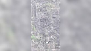 Father, Son and Mother jump because of an iPhone. Read the sad story in descpiption