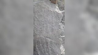 French mountaineer caught in a rockfall on Mont Blanc and walked away unharmed