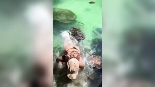Model Swims With Sea Turtles for Content Gets Bitten